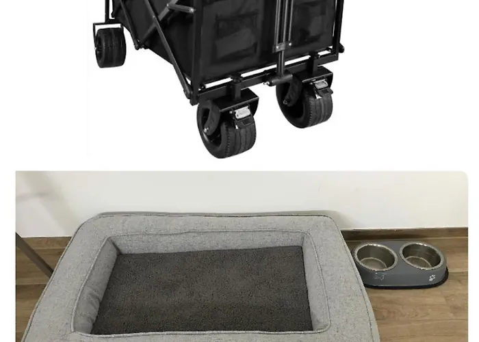 The - Emotion - Casa de Férias